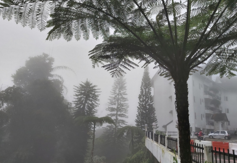 Silverpark Apartment