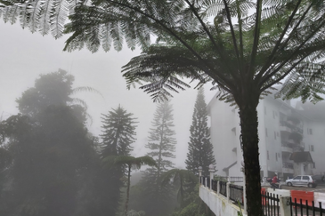 Silverpark Apartment