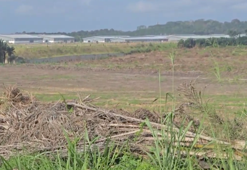 Potential Development Land for Industry @ Muar, Johor 