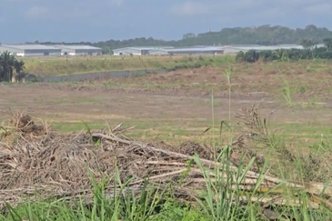 Potential Development Land for Industry @ Muar, Johor 