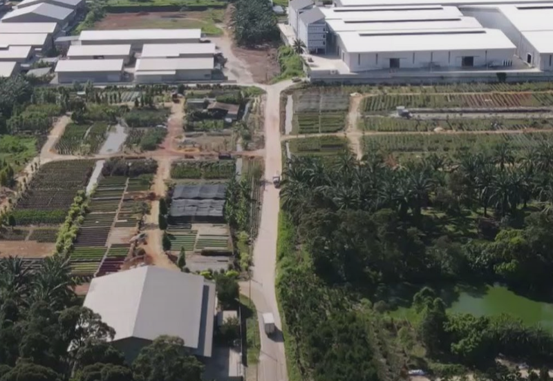 Potential Development Land for Industry @ Muar, Johor 