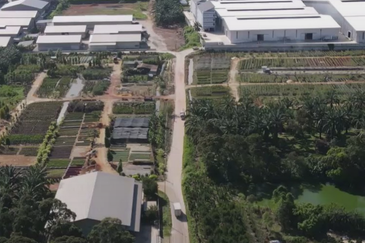 Potential Development Land for Industry @ Muar, Johor 