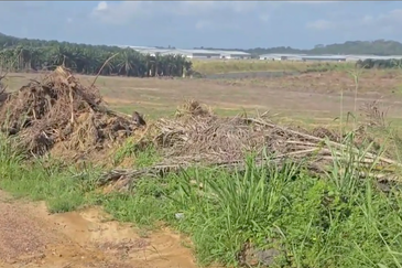 Potential Development Land for Industry @ Muar, Johor 