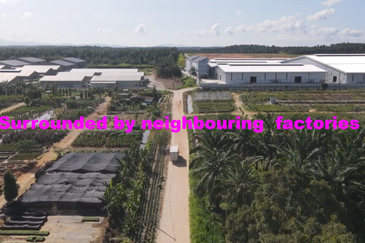 Potential Development Land for Industry @ Muar, Johor 