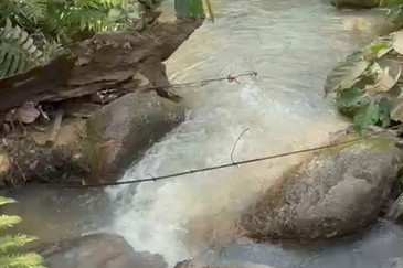 Stream Land @ Diamond Creeks, Tanjung Malim, Perak 