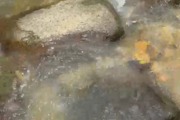 Stream Land @ Diamond Creeks, Tanjung Malim, Perak 