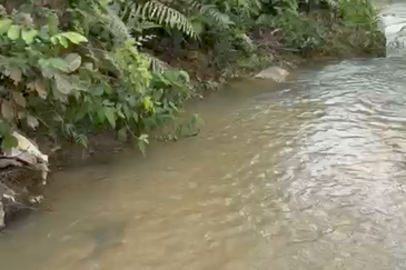 Stream Land @ Diamond Creeks, Tanjung Malim, Perak 