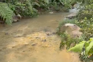 Stream Land @ Diamond Creeks, Tanjung Malim, Perak 