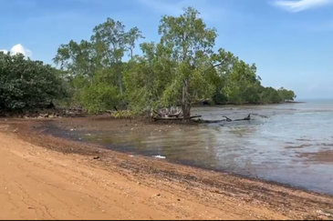 Potential Development Residential Land @ Kuala Lukut, Port Dickson, Negeri Sembilan 