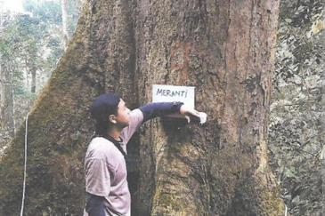 46,406 Acres West Kalimantan Barat, Melawi District, Indonesia 