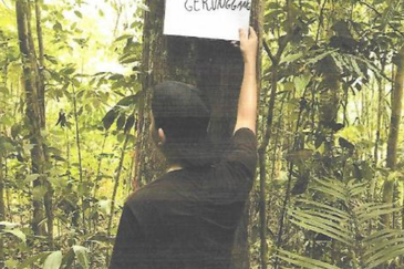 46,406 Acres West Kalimantan Barat, Melawi District, Indonesia 