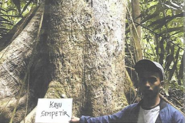 46,406 Acres West Kalimantan Barat, Melawi District, Indonesia 