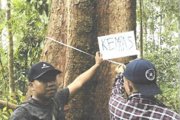 46,406 Acres West Kalimantan Barat, Melawi District, Indonesia 