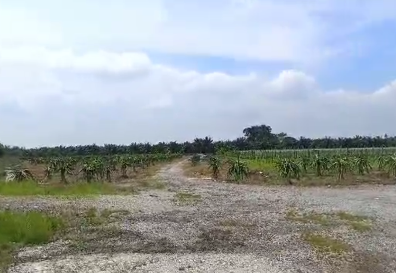 Teluk Panglima Garang