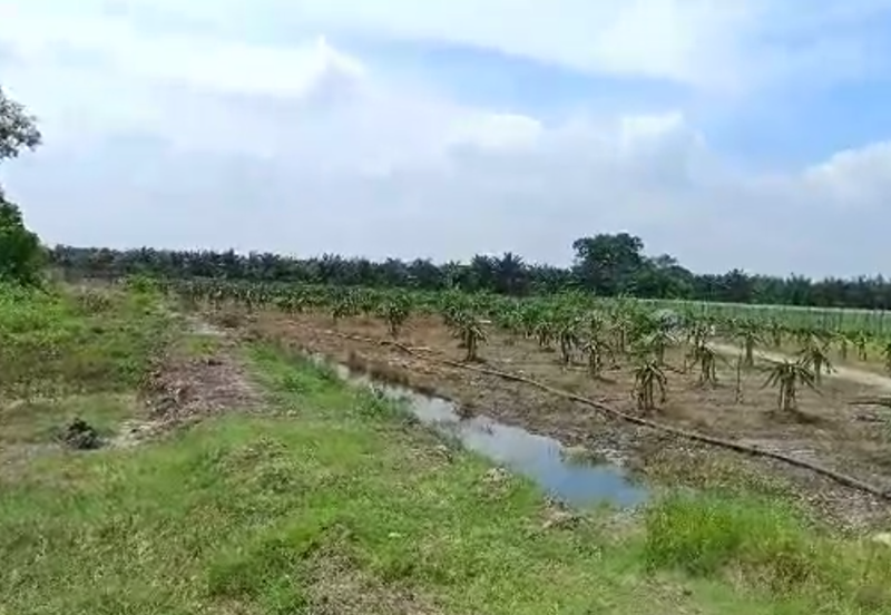 Teluk Panglima Garang