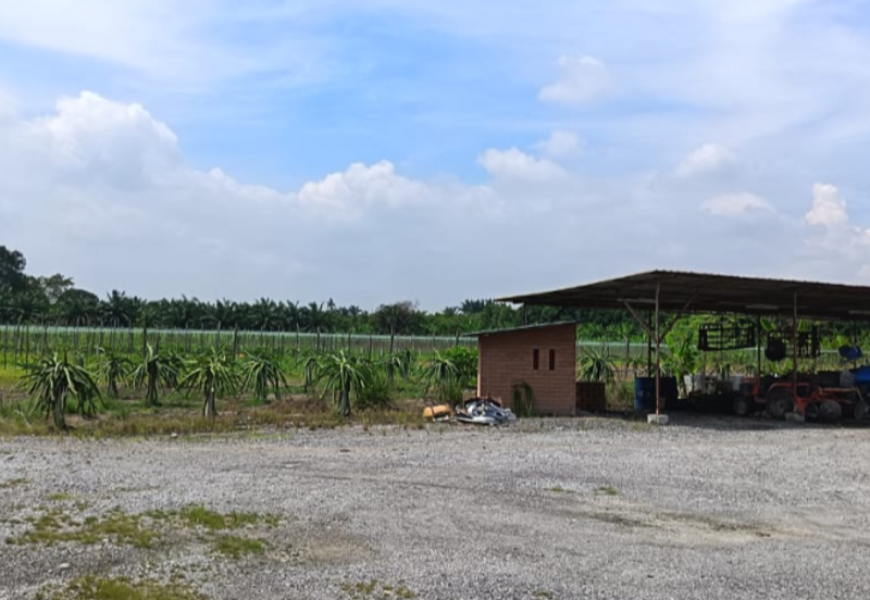 Teluk Panglima Garang