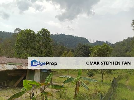 Fertile Agriculture Land @ Bentong, Pahang, Pahang, Bentong
