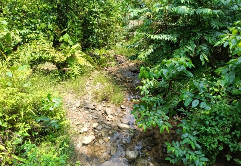 Land @ Sungai Bil, Tanjung Malim, Perak