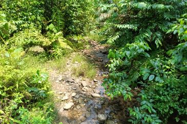 Land @ Sungai Bil, Tanjung Malim, Perak