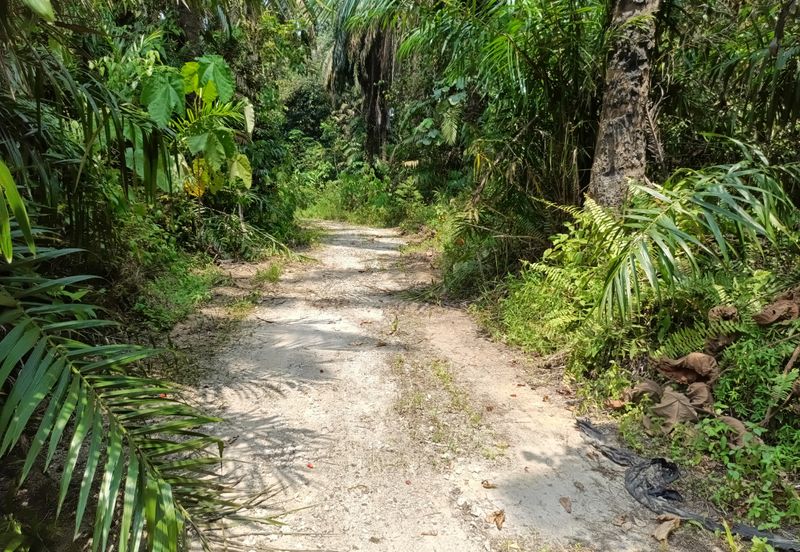Land @ Sungai Bil, Tanjung Malim, Perak