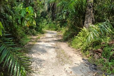 Land @ Sungai Bil, Tanjung Malim, Perak