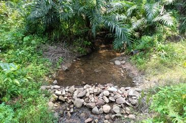 Land @ Sungai Bil, Tanjung Malim, Perak