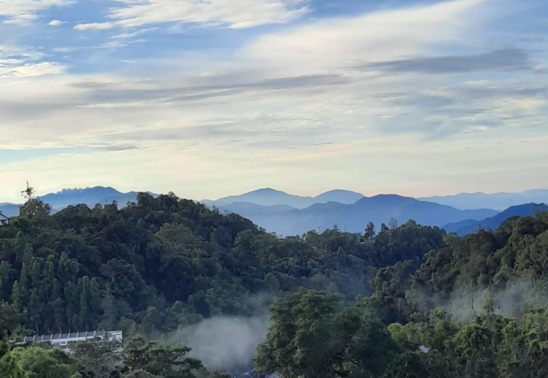 Silverpark Apartment