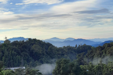 Silverpark Apartment