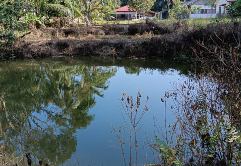 Orchard Agriculture Land @ Sungai Dara, Tanjung Malim, Perak 