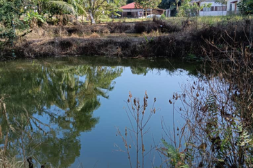 Orchard Agriculture Land @ Sungai Dara, Tanjung Malim, Perak 