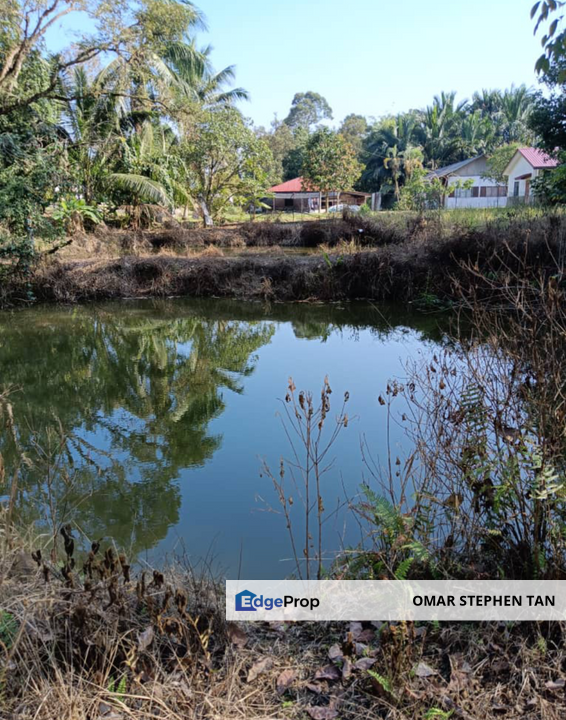 Orchard Agriculture Land @ Sungai Dara, Tanjung Malim, Perak , Perak, Tanjung Malim