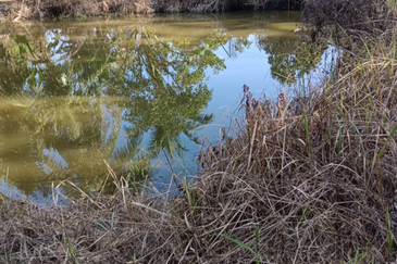 Orchard Agriculture Land @ Sungai Dara, Tanjung Malim, Perak 