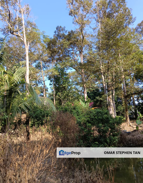 Orchard Agriculture Land @ Sungai Dara, Tanjung Malim, Perak , Perak, Tanjung Malim