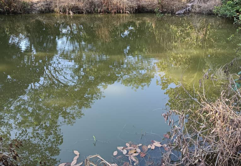 Orchard Agriculture Land @ Sungai Dara, Tanjung Malim, Perak 