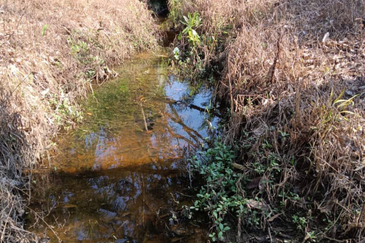Orchard Agriculture Land @ Sungai Dara, Tanjung Malim, Perak 