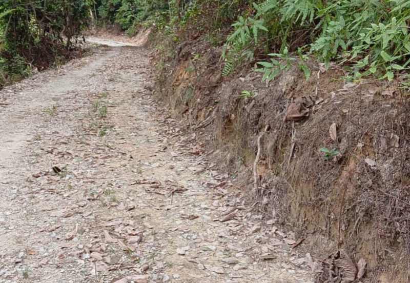 Agriculture Land @ Kerling, Hulu Selangor 