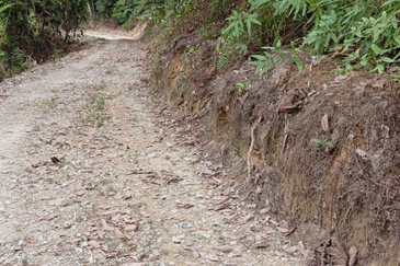 Agriculture Land @ Kerling, Hulu Selangor 