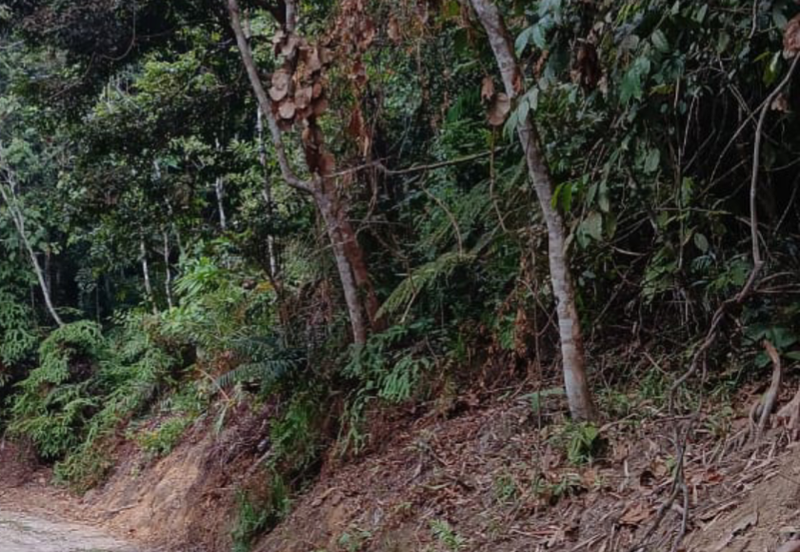 Agriculture Land @ Kerling, Hulu Selangor 