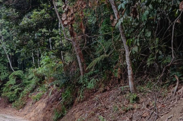 Agriculture Land @ Kerling, Hulu Selangor 