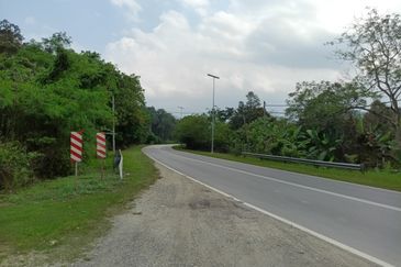 Bentong Durian