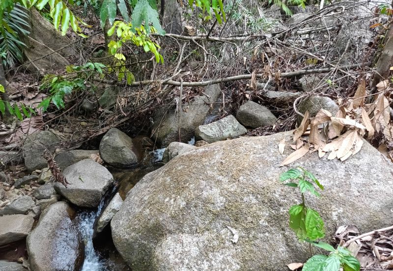 Agriculture Land @ Sungai Bil, Hulu Bernam Timor, Tanjung Malim, Perak 