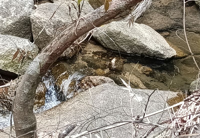 Agriculture Land @ Sungai Bil, Hulu Bernam Timor, Tanjung Malim, Perak 