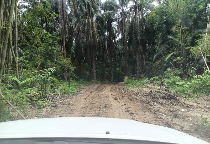 Agriculture Land @ Sungai Bil, Hulu Bernam Timor, Tanjung Malim, Perak 