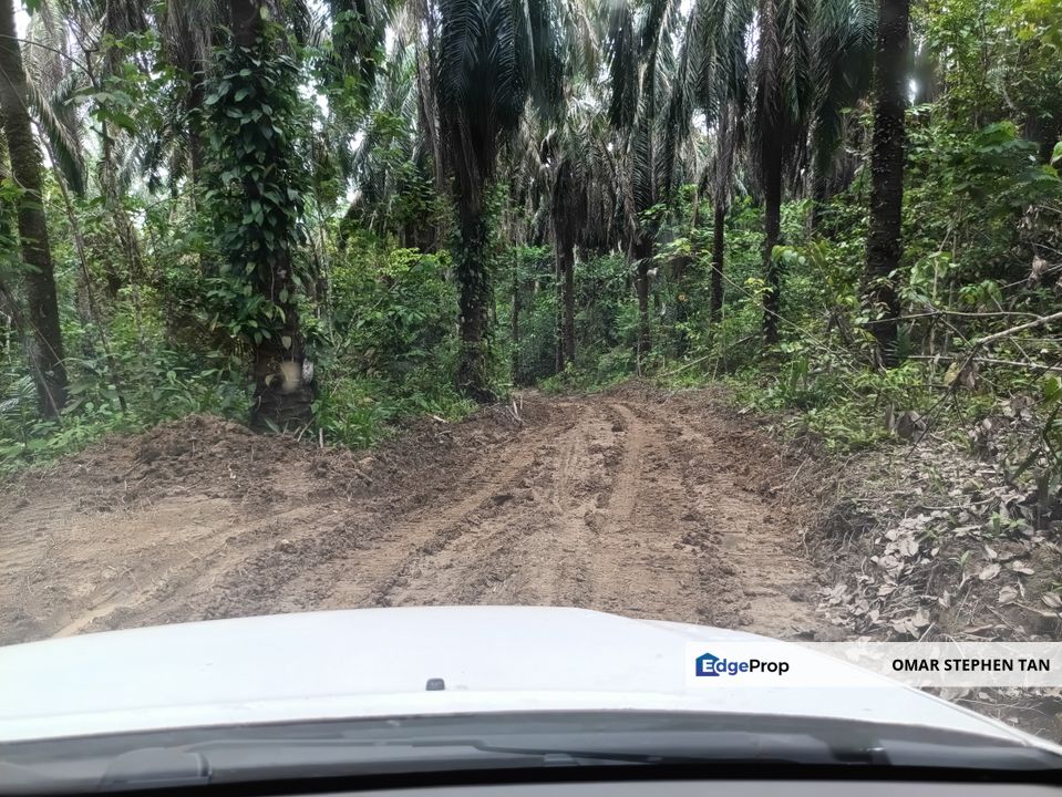 Agriculture Land @ Sungai Bil, Hulu Bernam Timor, Tanjung Malim, Perak , Perak, Tanjung Malim