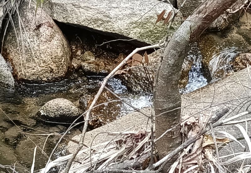 Agriculture Land @ Sungai Bil, Hulu Bernam Timor, Tanjung Malim, Perak 