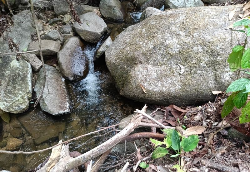 Agriculture Land @ Sungai Bil, Hulu Bernam Timor, Tanjung Malim, Perak 