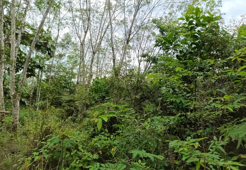 Agriculture Land @ Sungai Bil, Hulu Bernam Timor, Tanjung Malim, Perak 