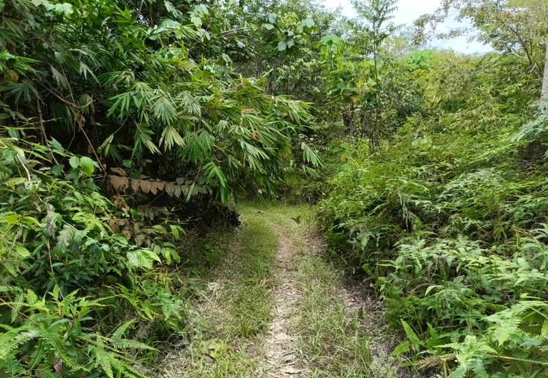 Agriculture Land @ Sungai Bil, Hulu Bernam Timor, Tanjung Malim, Perak 