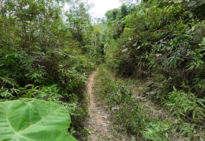 Agriculture Land @ Sungai Bil, Hulu Bernam Timor, Tanjung Malim, Perak 