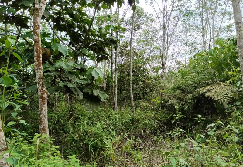 Agriculture Land @ Sungai Bil, Hulu Bernam Timor, Tanjung Malim, Perak 